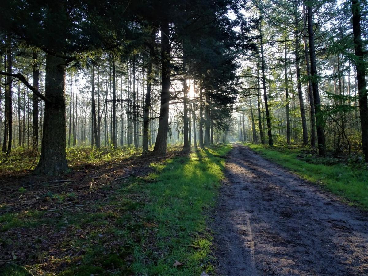 Veluwe Park Reewold Chalet Talisman Putten Εξωτερικό φωτογραφία